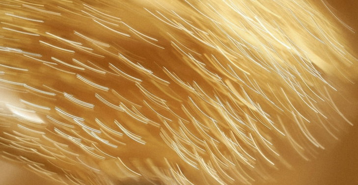 A makeup brush with golden bristles captured in motion against a warm background.